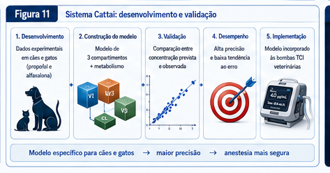O Sistema Cattai em cinco etapas: desenvolvimento (dados experimentais em cães e gatos), construção do modelo (3 compartimentos + metabolismo), validação (comparação entre concentração prevista e observada), desempenho (alta precisão e baixa tendência ao erro) e implementação (modelo incorporado às bombas de TCI veterinárias).