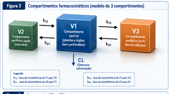 Modelo de 3 compartimentos: V1 (compartimento central, plasma e órgãos bem perfundidos), V2 (compartimento periférico rápido, músculos) e V3 (compartimento periférico lento, tecido adiposo), interligados pelas constantes k12, k21, k13, k31, com clearance (CL) a partir de V1.